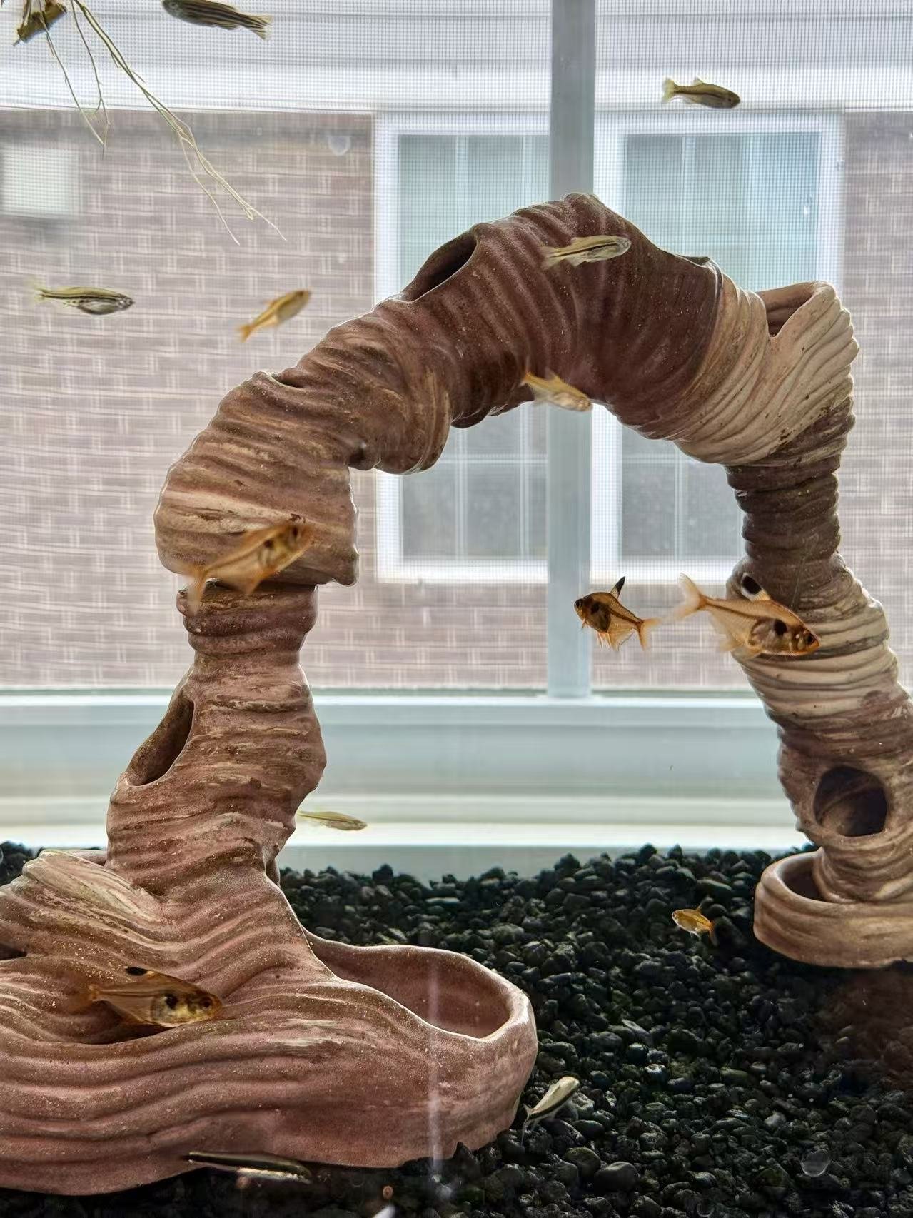 Handmade clay arch in a fish tank, with small fish swimming through it