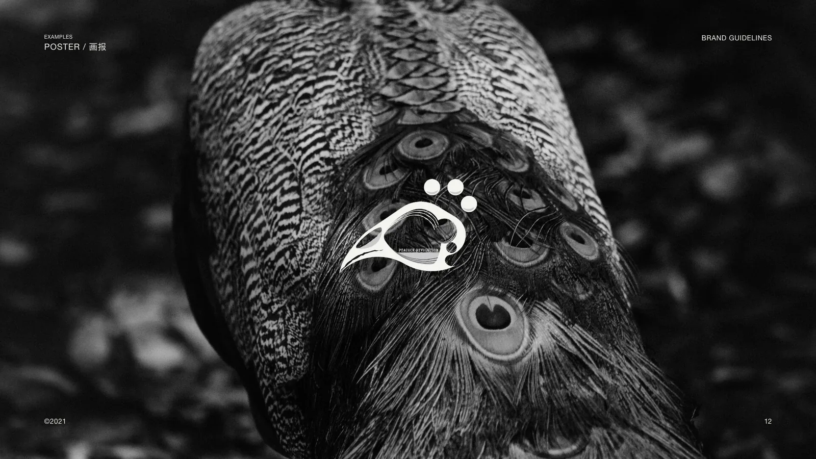 Poster: symbol over a black and white peacock photo